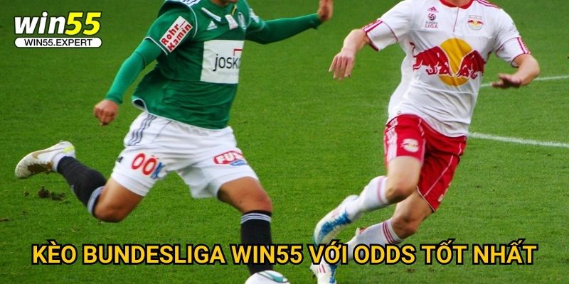 Kèo Bundesliga Win55 hot - Tỷ lệ siêu chuẩn xác 2 Kèo Bundesliga Win55 với odds tốt nhất